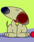 pic for Basset Hound